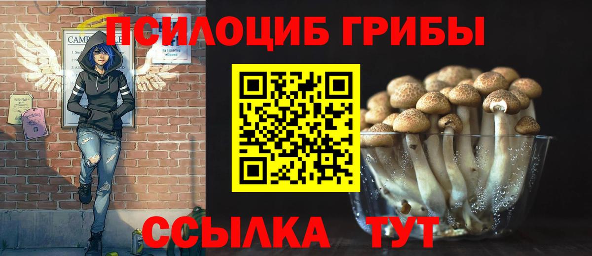 Вичуга  Псилоцибиновые грибы ЛСД  Вход с VPN 